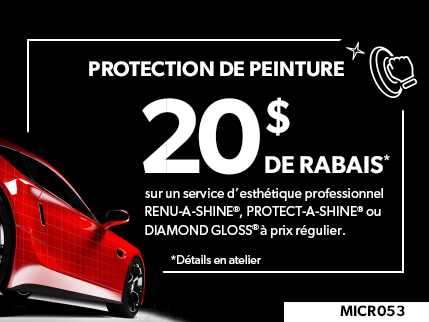MICR053 - PROTECTION DE PEINTURE $20 DE RABAIS