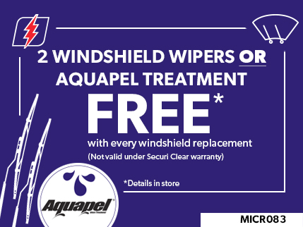 MICR083 - 2 Windshield Wipers or Aquapel treatment FREE
